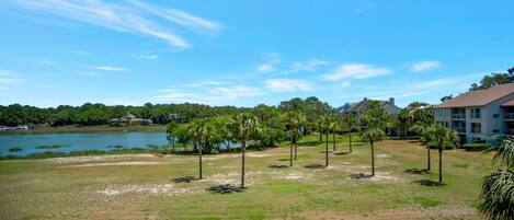 Vista al lago con zona verde, palmeras y un edificio con varios balcones.