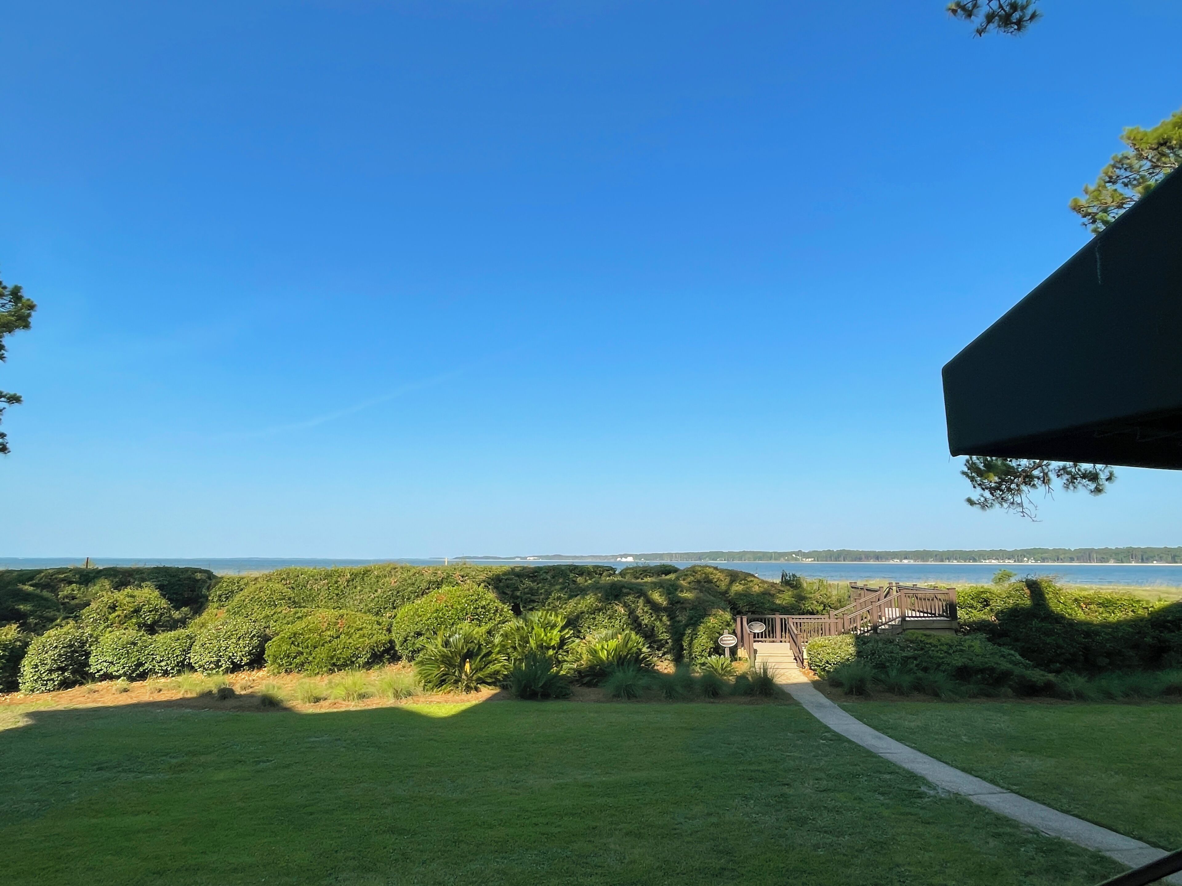 A pathway leading to a wooden deck overlooking a body of water, surrounded by lush greenery.