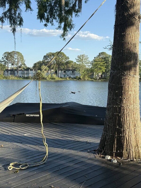 Miscellaneous - Luxury 5-Bedroom Waterfront Oasis w/ Pool, Dock & Views (Tampa)