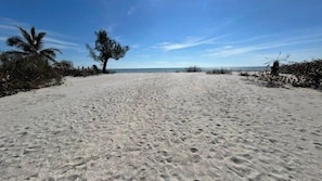On the beach