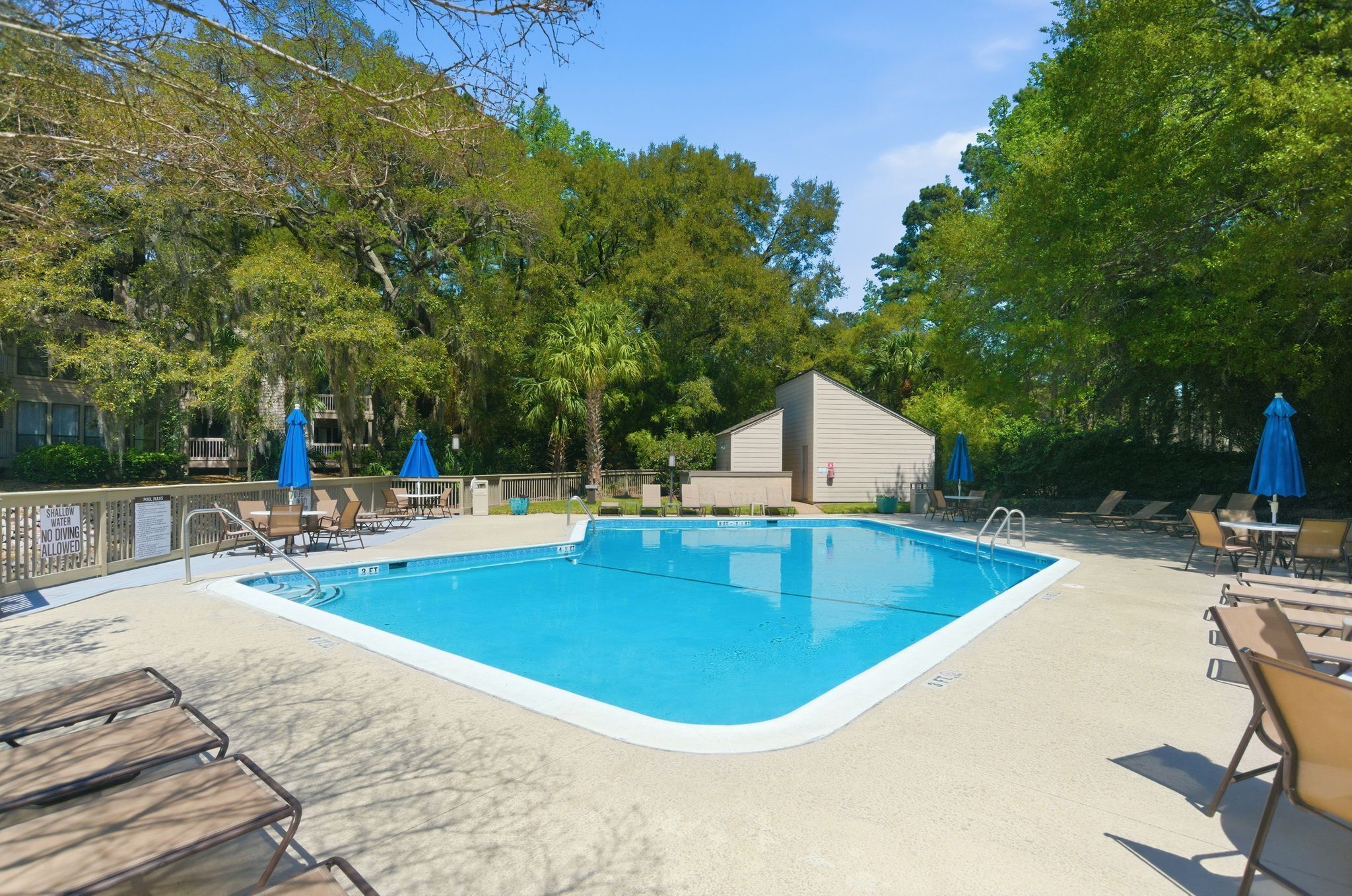 A swimming pool with lounge chairs and umbrellas, surrounded by trees and a building.
