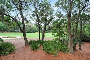 Property grounds - 2352 Racquet Club at The Sea Pines Resort (Hilton Head Island)