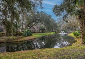 Property grounds - 2258 Heritage Villas at The Sea Pines Resort (Hilton Head Island)
