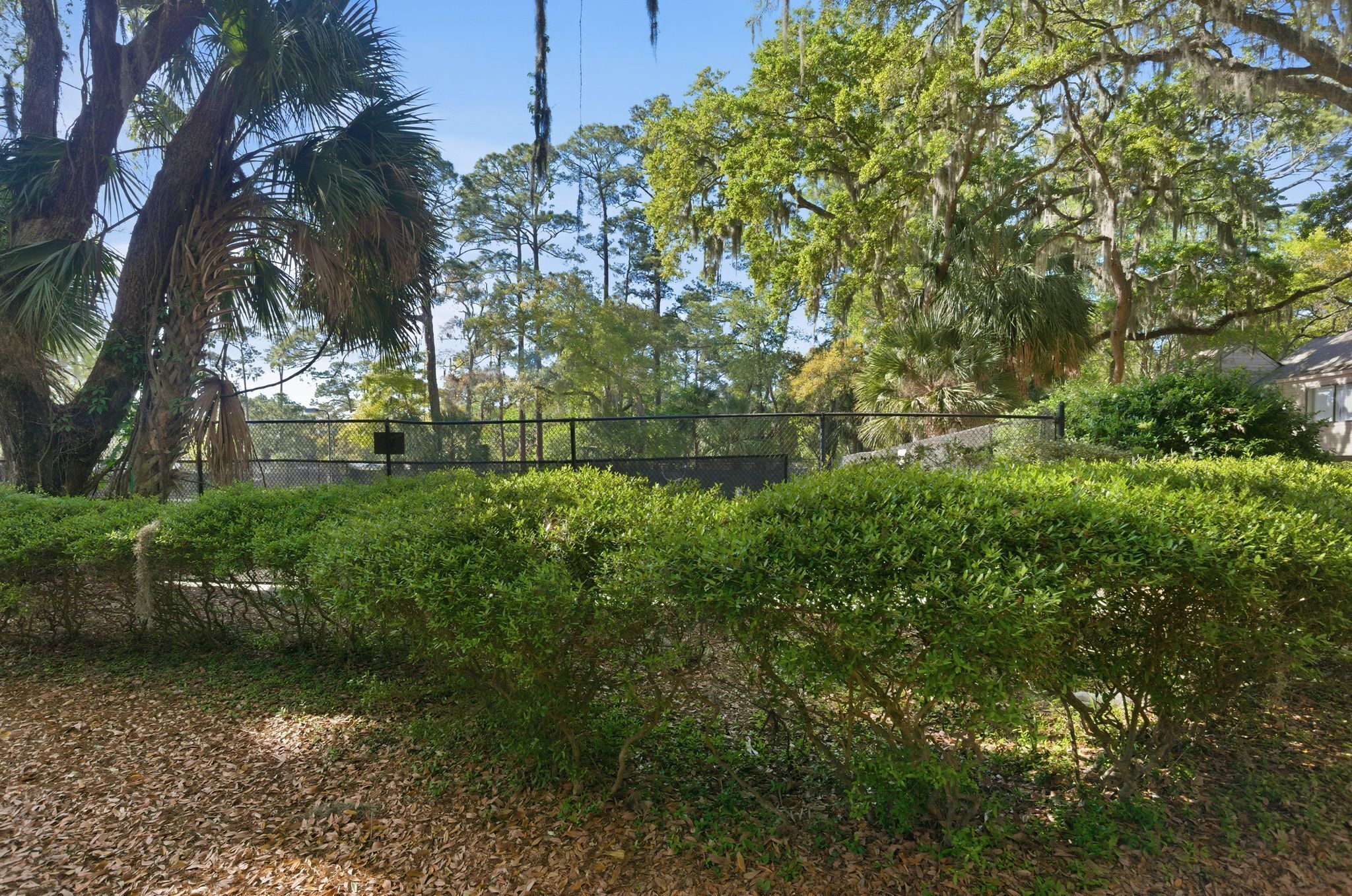A fenced garden area with various trees and shrubs.