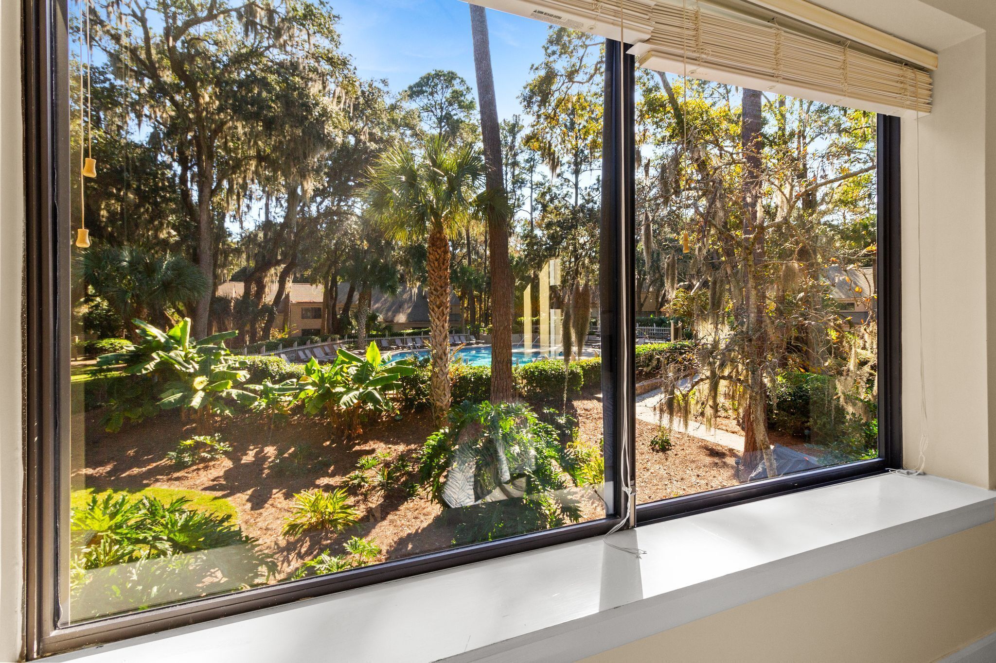 A window with a view of a landscaped outdoor area including trees, a pool, and a building in the background.