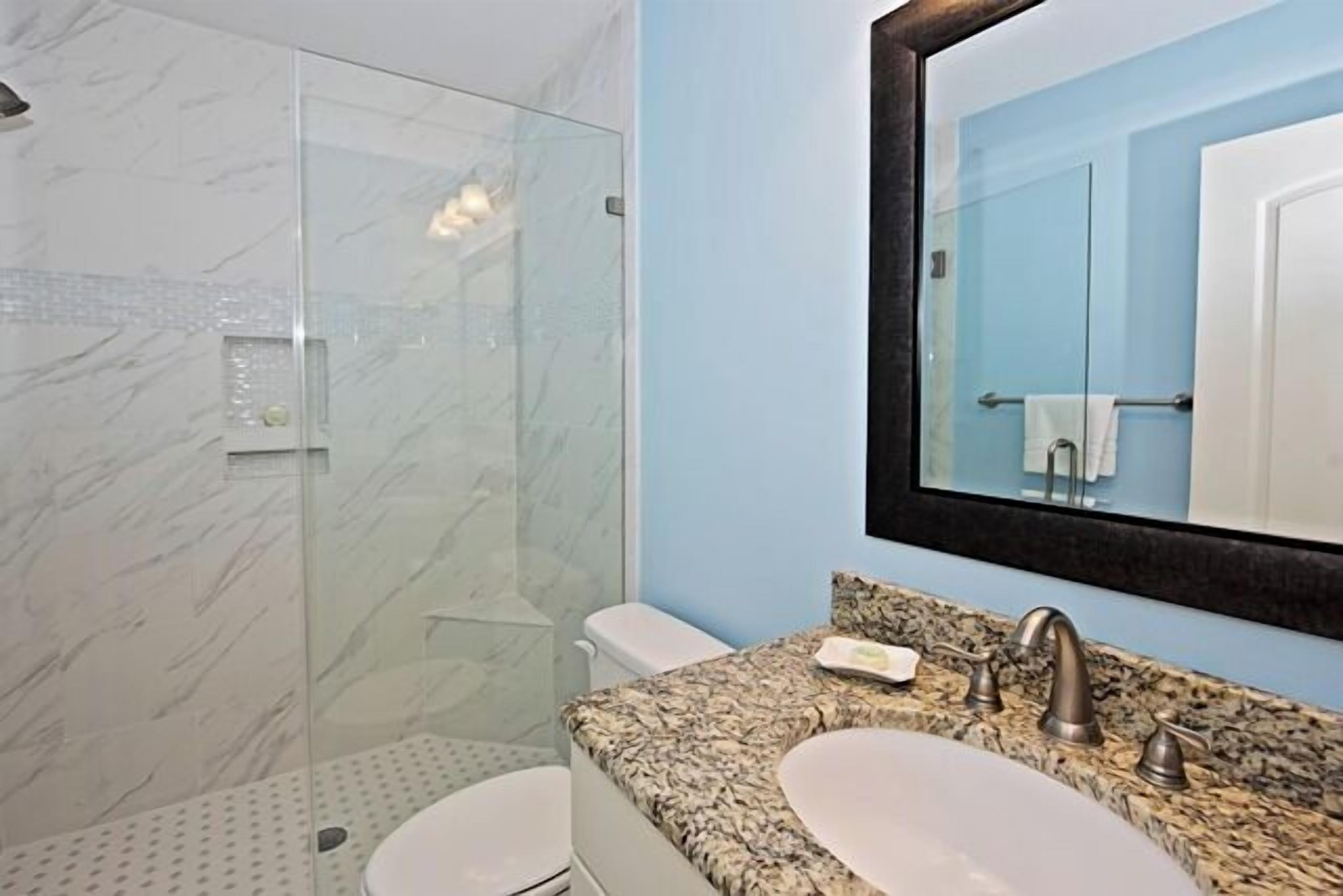 A bathroom with a glass shower enclosure, a white toilet, a granite countertop with a sink, and a large mirror.