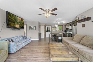 TV, fireplace