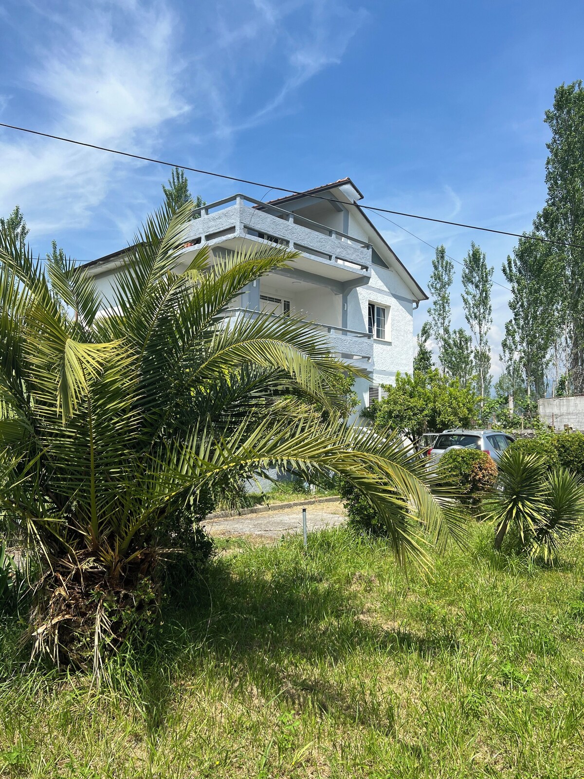 Imagen de perfil del propietario o de la propietaria