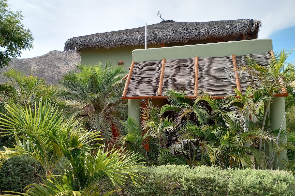 A building with a thatched roof and a green exterior, surrounded by lush tropical vegetation.