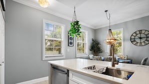 A kitchen with a white countertop, stainless steel sink, and a hanging plant.