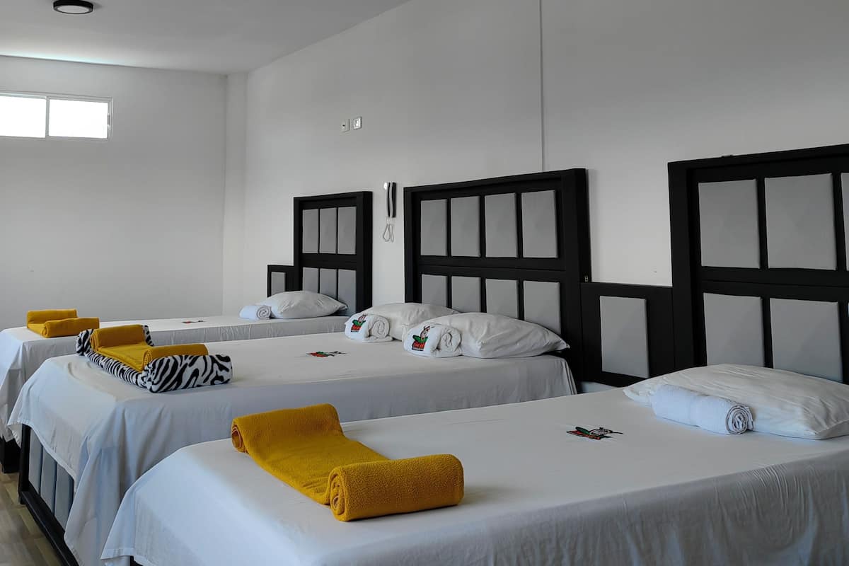 Comfort Twin Room | Desk, free WiFi
