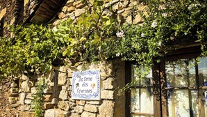 Unclassified image, 2 of 34, button - La ferme des Cévennes (Florac)