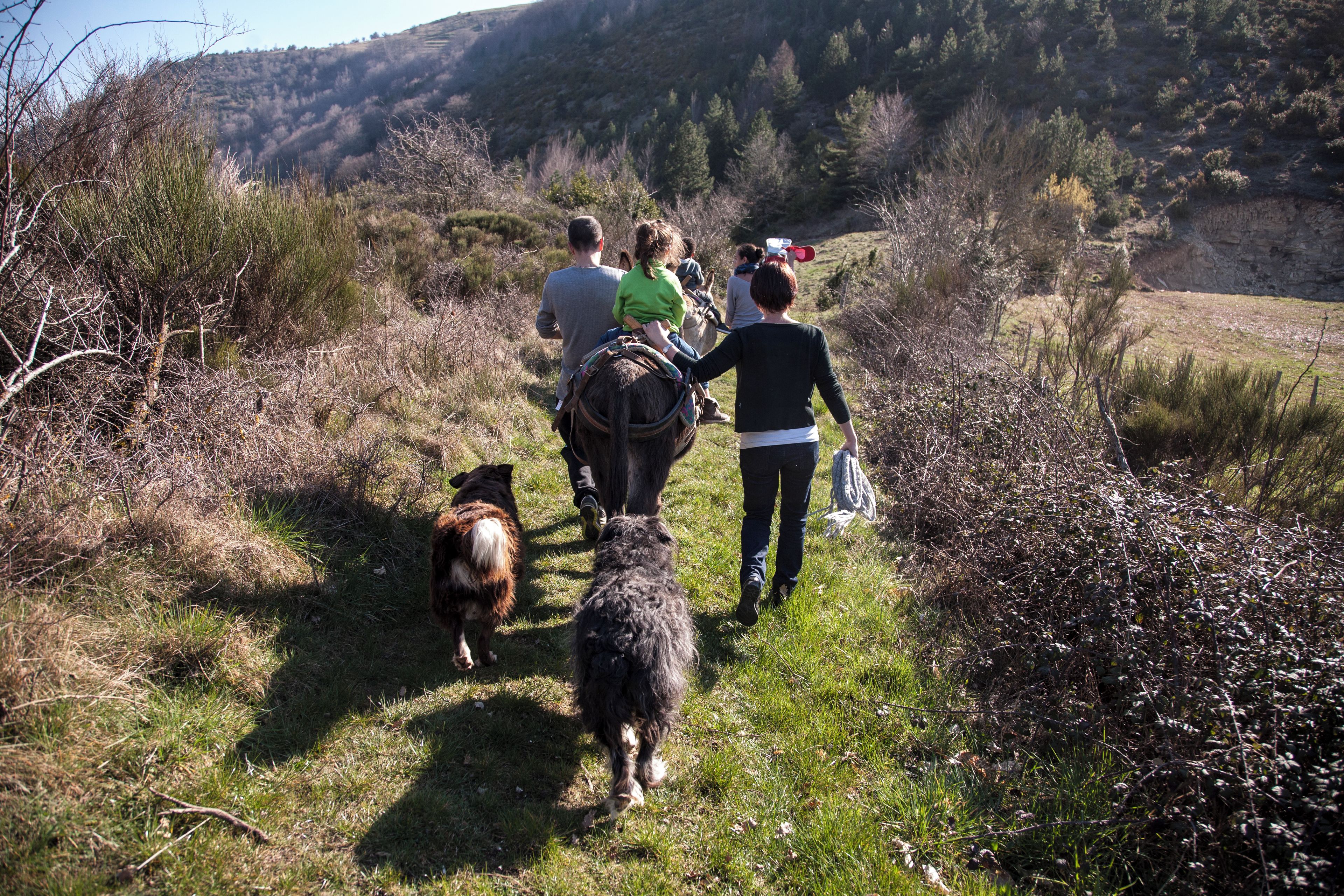 Un grupo de personas caminando por un sendero cubierto de hierba, con un perro, rodeado de vegetación y colinas al fondo.
