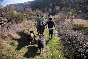 Un grupo de personas caminando por un sendero cubierto de hierba, con un perro, rodeado de vegetación y colinas al fondo.