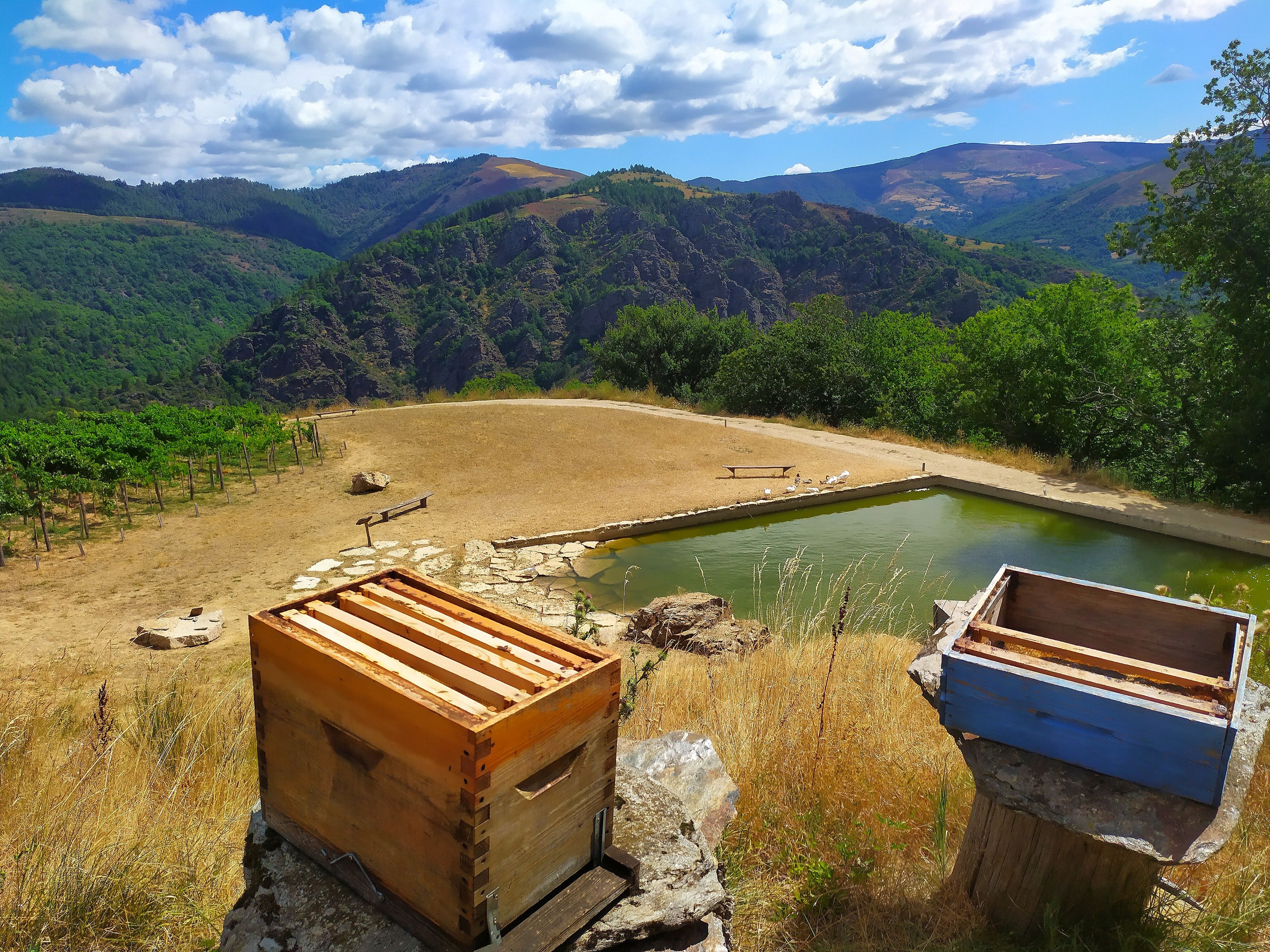 Un paysage naturel avec un étang, des structures en bois et un banc.