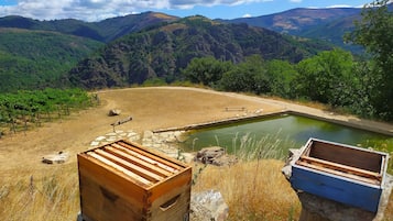 Un paysage naturel avec un étang, des structures en bois et un banc.