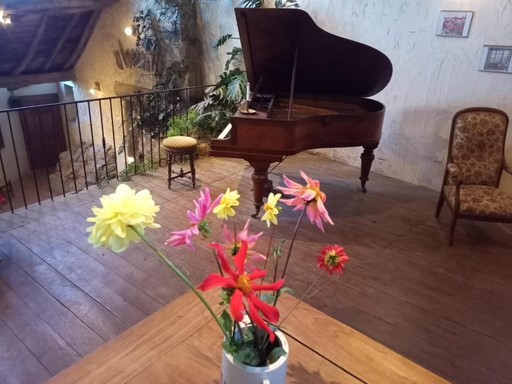 Un piano de cola en una habitación con piso de madera, una planta en maceta con flores y una silla.