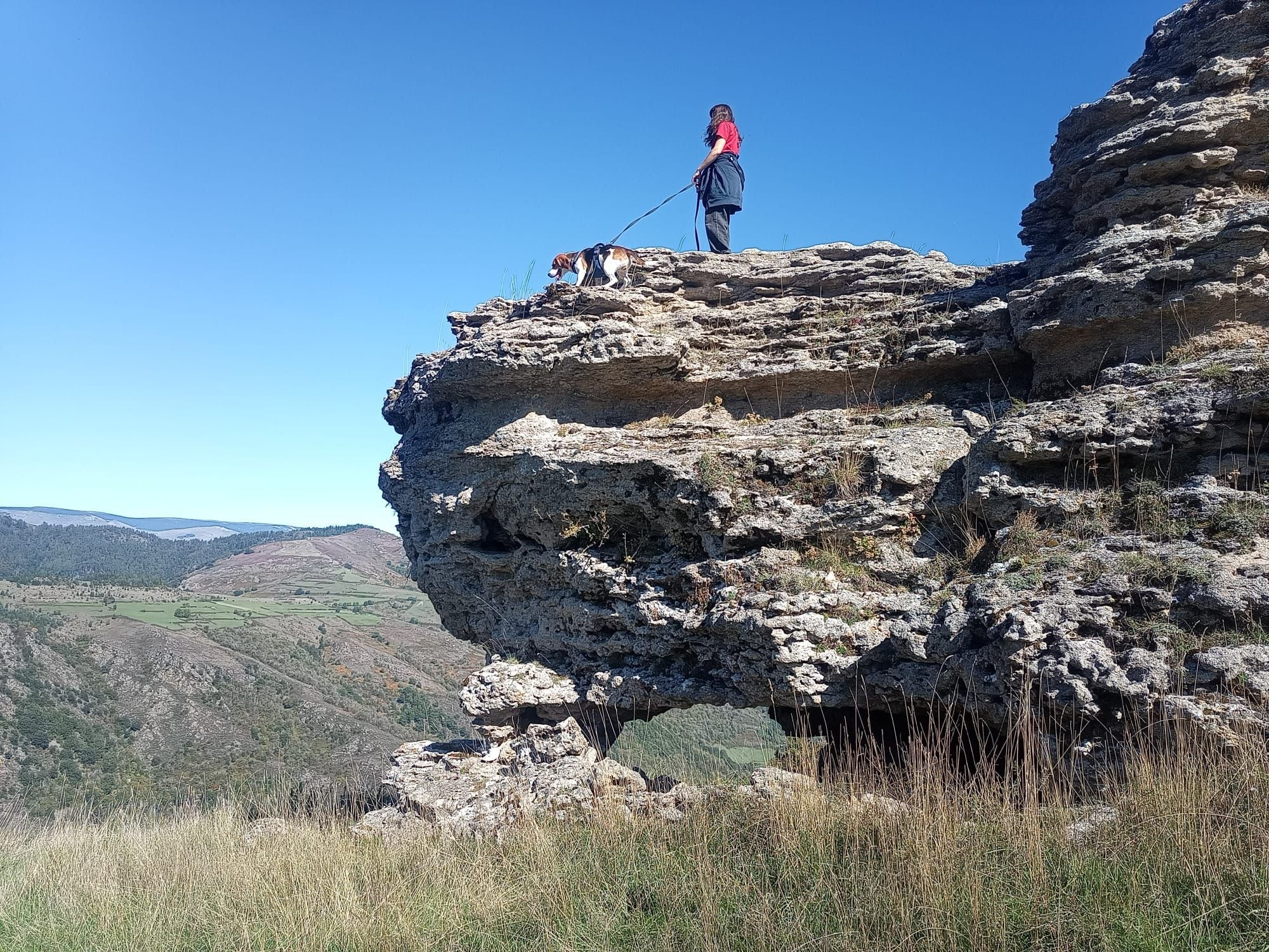 A person standing on a rocky cliff with a dog, overlooking a valley with hills and sparse vegetation.