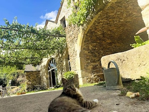 Unclassified image, 2 of 40, button - La ferme des Cévennes (Florac)