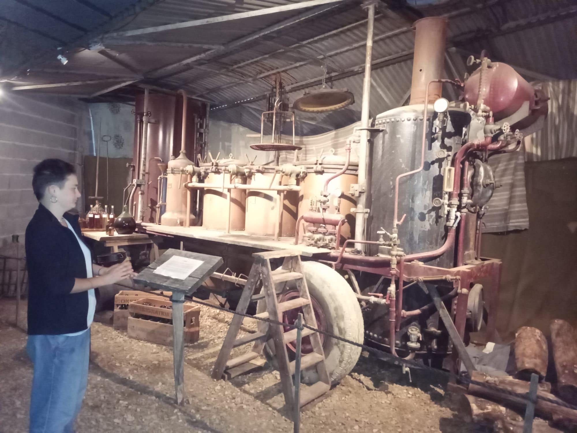A person standing next to an industrial machine with pipes and tanks.
