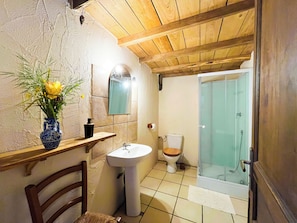 Une salle de bain avec un plafond en bois, un lavabo, des toilettes et une cabine de douche en verre.
