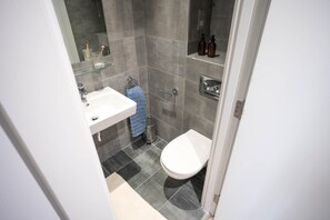 A bathroom with a white sink, a toilet, and a glass shelf with toiletries. - Cork Street in Dublin (Dublin)