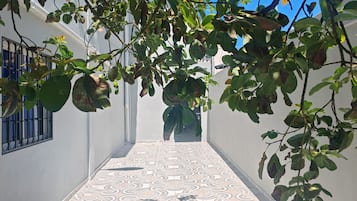 Detalle exterior
