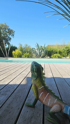 Een verwarmd zwembad