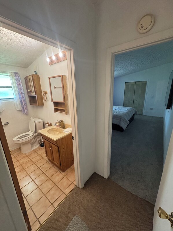 Shower, towels, toilet paper