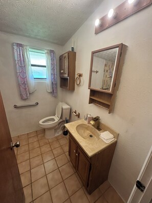Shower, towels, toilet paper