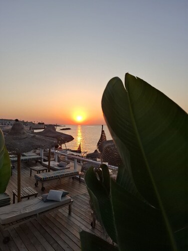 DOMUS NICOLAUS in the heart of Apulia a stone's throw from the crystal clear sea