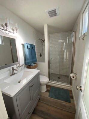 Shower, hair dryer, bidet, towels