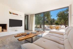 TV