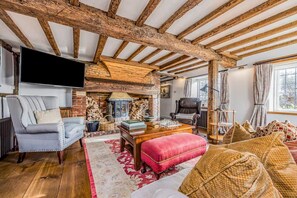 TV, fireplace, books