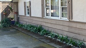 Una casa con dos ventanas, una valla de madera y un jardín con plantas.
