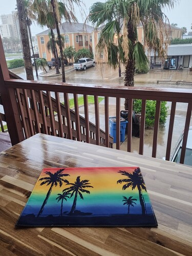 WELCOME WINTER TEXANS! Book fast!