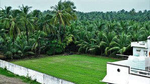 A lush green field with palm trees and a white building with a water tank on the roof. - HOTEL ROYAL MANSION SOMNATH (Veraval)