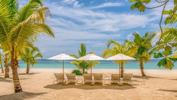 Una playa con palmeras, una hilera de sillas de playa y sombrillas.