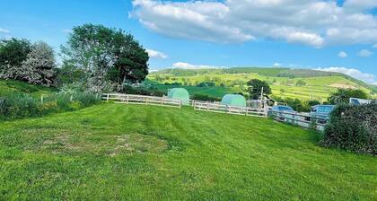 Green Dragon and Kitchen Pod - Sleeps 2 & Parking