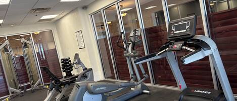A gym with treadmills, ellipticals, and weight machines.