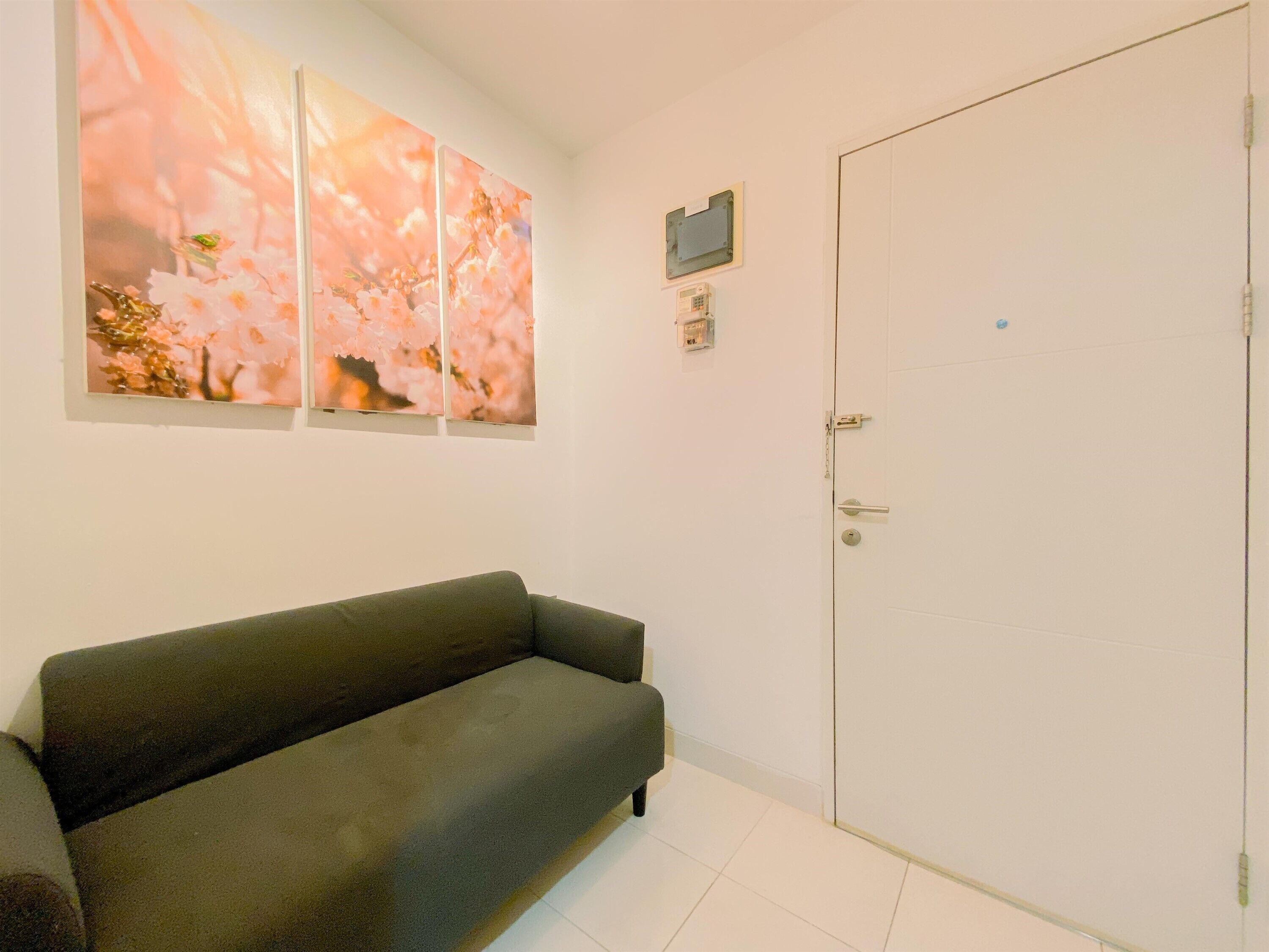A room with a dark-colored sofa, a white door, and a wall-mounted telephone.