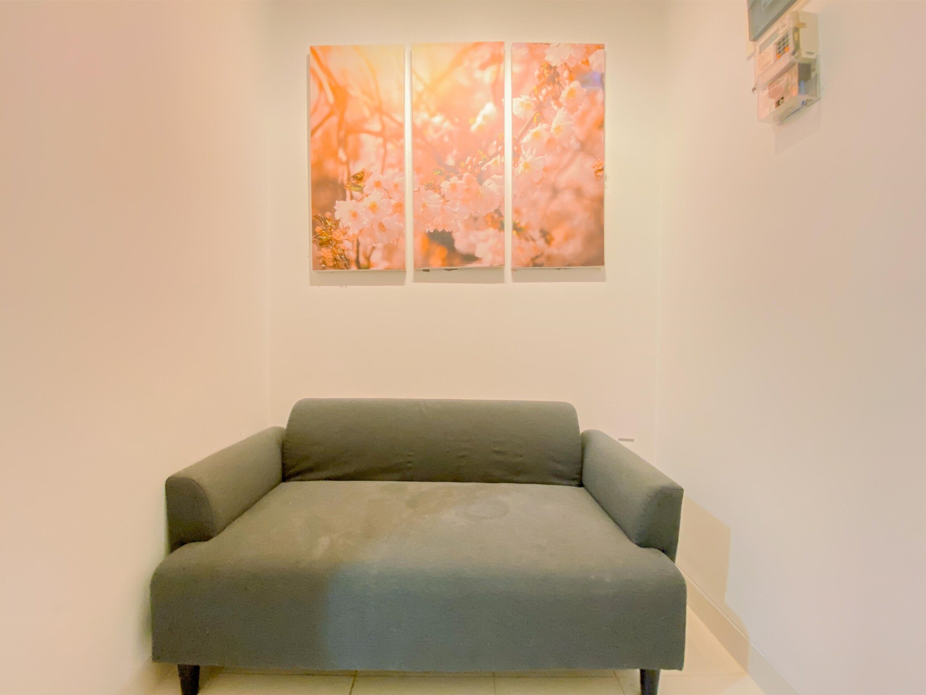 Un sofá gris en una habitación con una pared blanca y una obra de arte enmarcada encima.