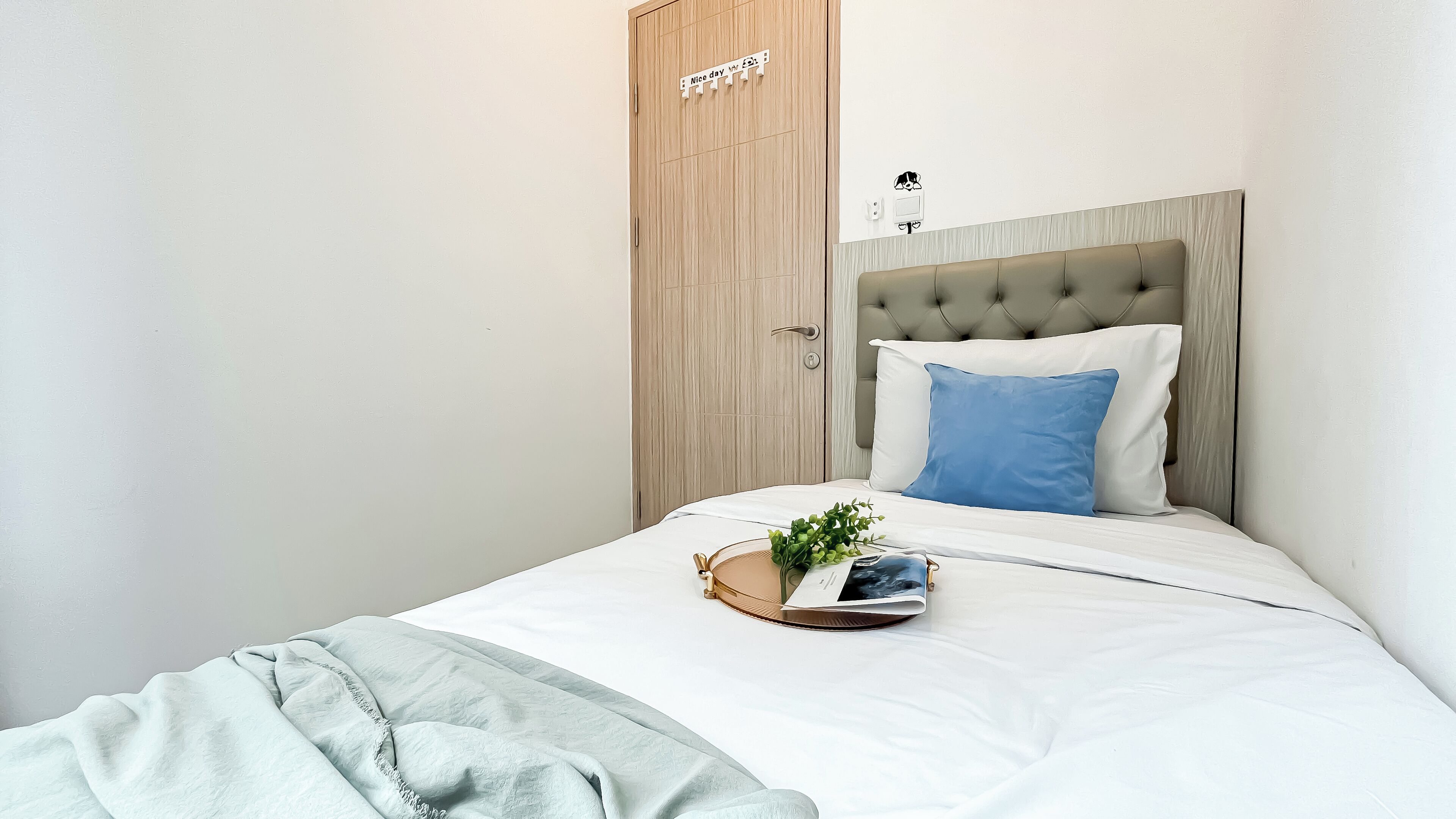 A neatly made bed with a white and blue pillow, a small plant, and a magazine on the bed.