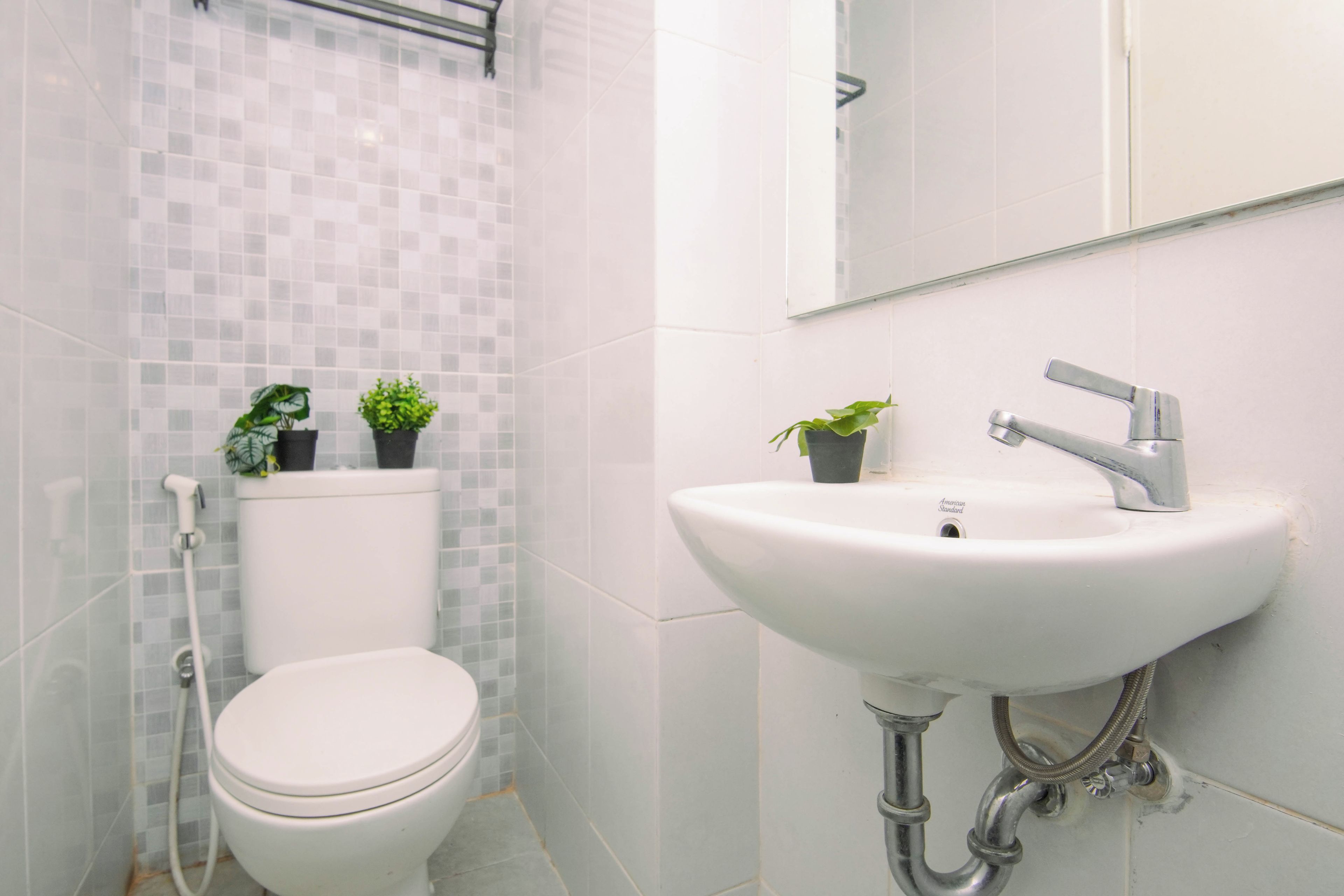 A bathroom with a toilet, sink, and two potted plants.