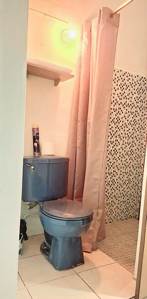 A small bathroom with a toilet, a shelf above the toilet, and a shower curtain. - Single Room (Santa Ana)
