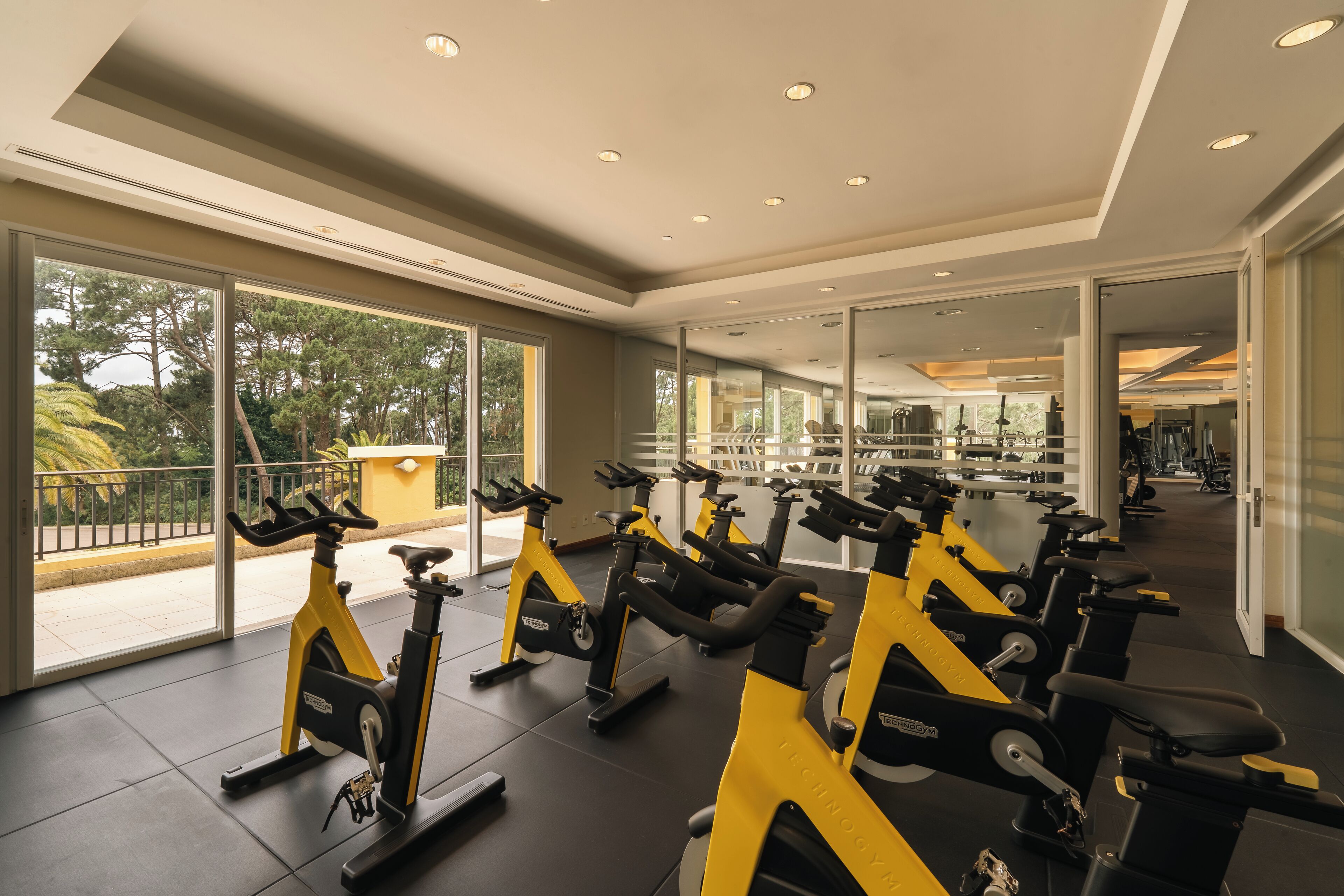 A gym with stationary bikes, large windows, and a view of trees.