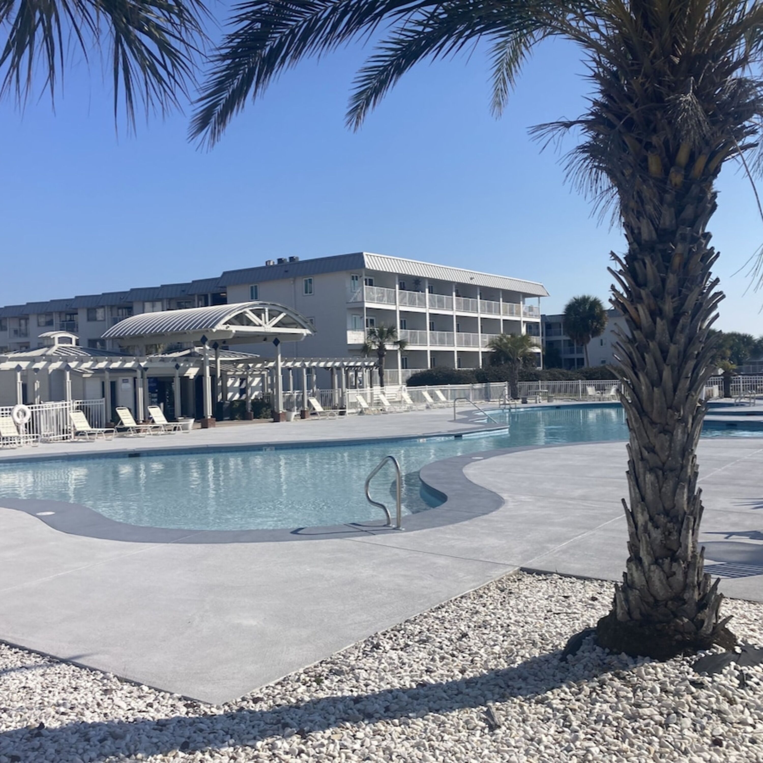 Une piscine avec un palmier au premier plan, un espace de repos couvert et un bâtiment doté de nombreux balcons en arrière-plan.