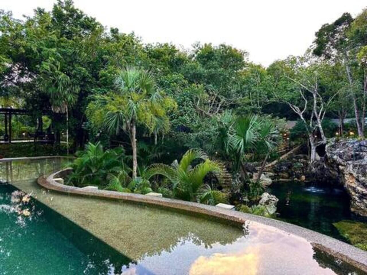 A landscaped pool area with surrounding greenery and a rocky feature.