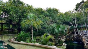 Zona de piscina ajardinada con follaje circundante y un elemento rocoso.