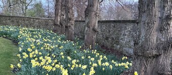 19th century disability accessible 5-bedroom villa free private secluded parking